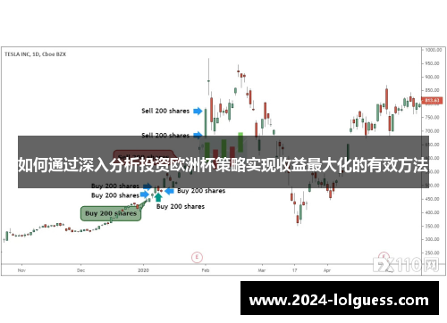 如何通过深入分析投资欧洲杯策略实现收益最大化的有效方法