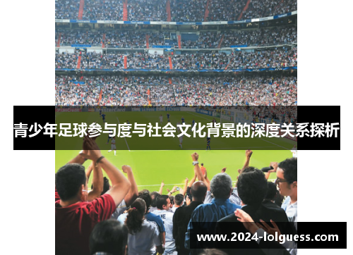 青少年足球参与度与社会文化背景的深度关系探析 青少年足球参与度与社会文化背景的深度关系探析